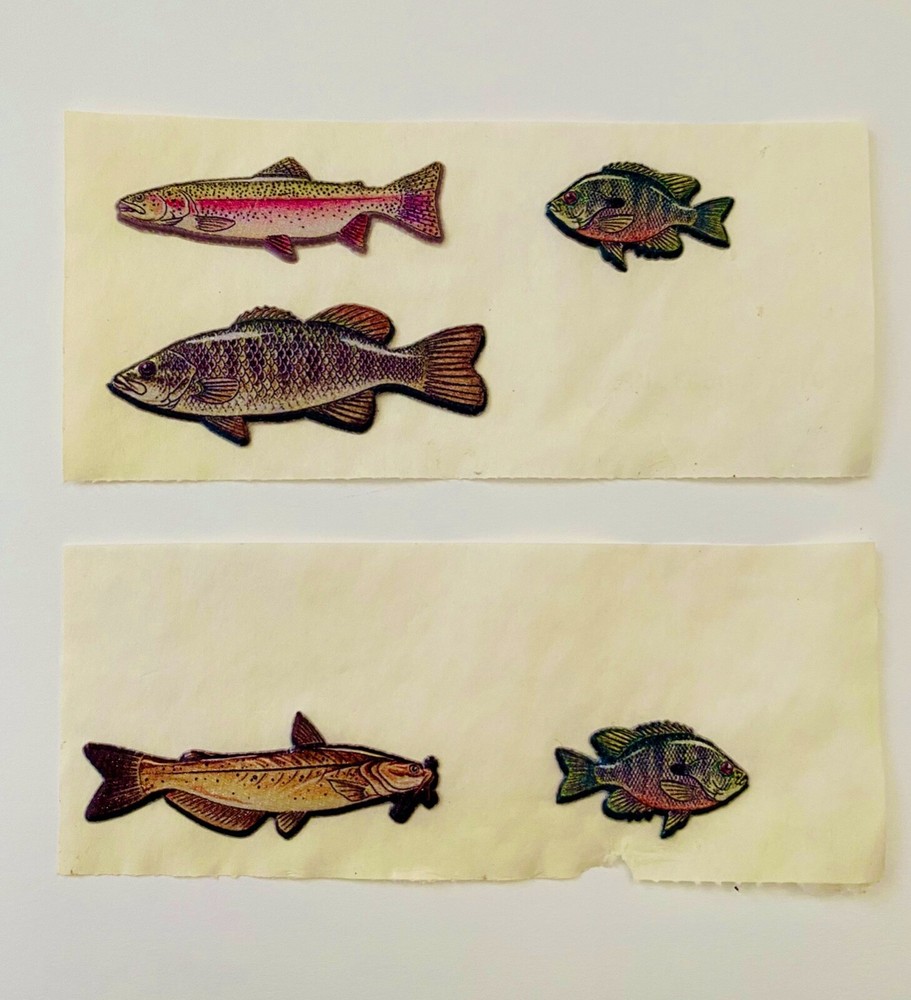 VINTAGE Bass Pro Shop Fish Vinyl Puffy Fishing Stickers for Adult Teen Travel