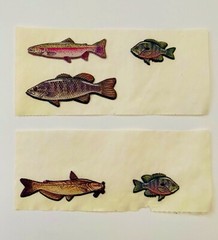 VINTAGE Bass Pro Shop Fish Vinyl Puffy Fishing Stickers for Adult Teen Travel