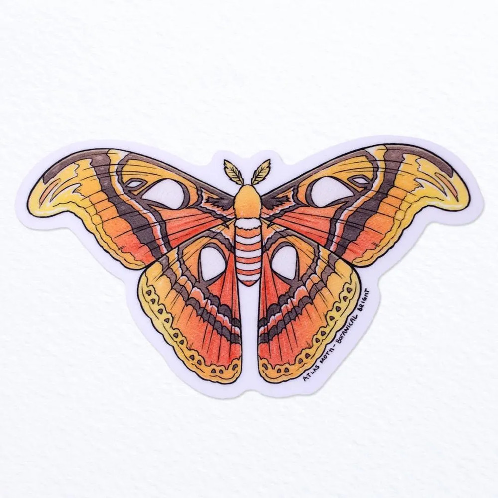 Atlas Moth Sticker – Waterproof Vinyl Nature, Garden, & Insect Decal – Crafts