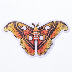 Atlas Moth Sticker – Waterproof Vinyl Nature, Garden, & Insect Decal – Crafts