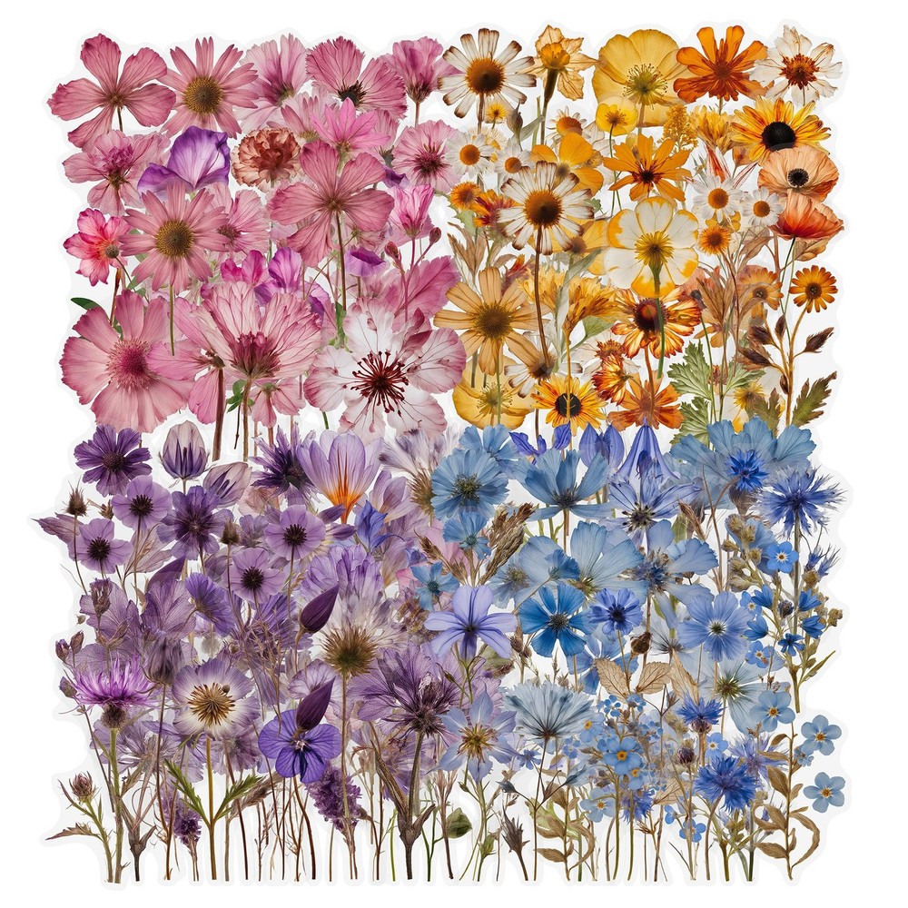 Pegatinas de flores secas para scrapbooking, pegatinas de flores prensadas