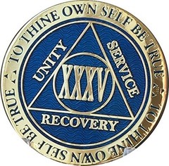35 Year Reflex Blue Gold Plated AA Medallion Chip XXXV