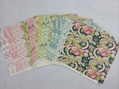 Anna Griffin Feather 19 12×12 Cardstock – 24 12×12 text sheets – 7 6×8