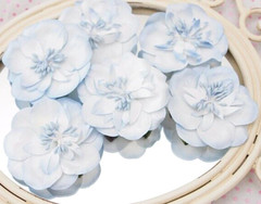 FAIRY FLOSS – SOFT BLUE 6 Pack – 55cm Across Manor House ConA