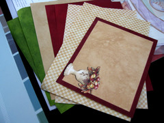 2Ladybugs, Sunshine, 2Washington DC, 4Block Stickers, 12×12 Winter Refections +