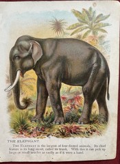 Circus Carnival Ephemera Lot Junk Journal scrapbooking 64 + pieces Kit Bundle