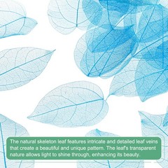 100-Pack Skeleton Leaves, Natural Rubber Tree Leaves Vein[7-9cm, Blue]
