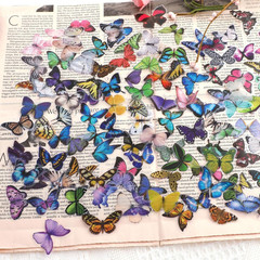 240PCS Butterfly Stickers, PET Waterproof Transparent Colorful Resin Decals Deco