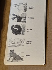 120 Polar Animal Stickers Cd-1520 Carson Dellosa Arctic Wildlife Zoo Animals