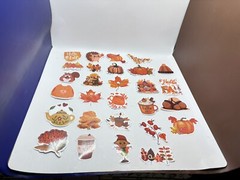 Assorted Fall Themed Stickers 28 Colorful NEW Fall Stickers