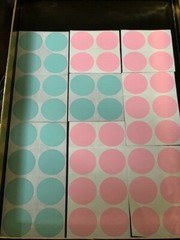 59 PCS TEAL & PINK CIRCLES – 1.5” CIRCLE CIRCUMFERENCE – CIRCLE STICKERS 59pcs