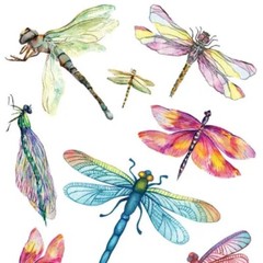 Violette Stickers Dragonflies Sticker Sheet Watercolor Insect Scrapbook Stickers