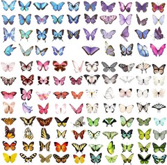 COMNICO 240PCS Butterfly Stickers, PET Waterproof Transparent Colorful Resin Dec
