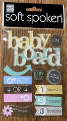 RARE SOFT SPOKEN BABY On Board Shower Ultrasound 1st 2nd 3rd Trimesters Boy Girl