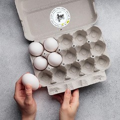320 Pcs Duck Egg Laid on Stickers, 2 Inch Round Farm Fresh Eggs Sticker Round…