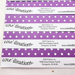 Darice Coredinations Scrapbook Paper Lot 12×12 Purple Small Dot 10 Sheets 2014