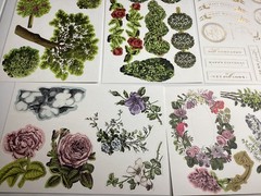 Anna Griffin Trelliage Die Cuts 8 Sheets RARE