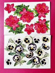 Anna Griffin Flower Pot Decoupage Diecuts 70+ PCS + Floral Recollection Layers