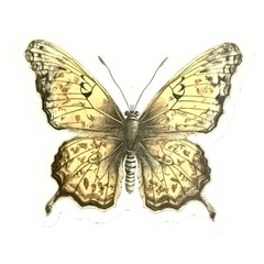 Vintage Butterfly Themed Waterproof Stickers Lot of 13