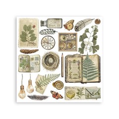 Stamperia Rub-On Kit- Herbarium Silvae, DFLRBX02