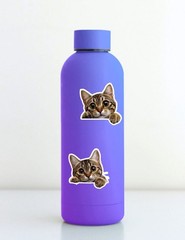 Peeking Kitten Die Cut Vinyl Stickers Set Scrapbooking Laptop Water Bottle
