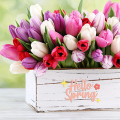 15PCS Holiday Word Die Cuts for Card Making Happy Birthday Die Cuts