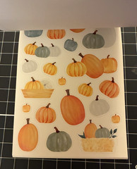 Recollections Halloween LOT Autumn Fall Pumpkins Forest Animals Coffee STICKERS