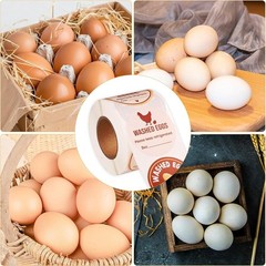 500pcs Washed Eggs Stickers, 2in Farm Fresh Eggs Stickers Egg Carton Stickers…