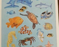 Vintage Current Catalog Land & Sea sticker sheet, fish and shells stickers