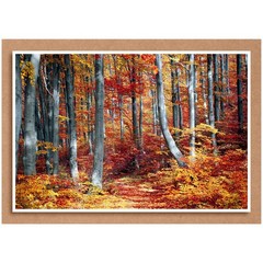 200 Sheets Chipboard 5 X 7 Inch, 40Pt (Point) Medium Weight Chipboard .04 Calipe