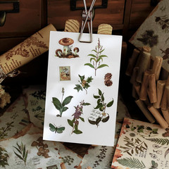 Plant Themed Washi Stickers for Journaling Scrapbooking Planner Sticker Ephemera