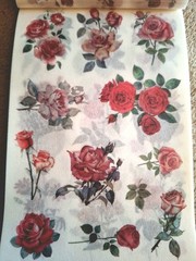 50 Pgs Detailed Beautiful Floral Sticker Book & Eph Paper 22pgs & 375 Stickers