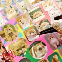 Cat Sticker Book 1000+ Stickers 34 Sheets Aesthetic Kawaii Journal