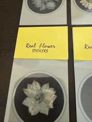 Lot Of 8 REAL Pressed Flowers Stickers Vintage Victorias Garden Scrapbook-22