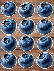 Big Blueberry Die Cut Vinyl Stickers Set Scrapbooking Laptop Water Bottle
