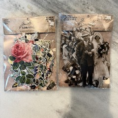 TIM HOLTZ Idea-Ology Layers Die-Cuts Pieces Botanical Layers & Paper Dolls