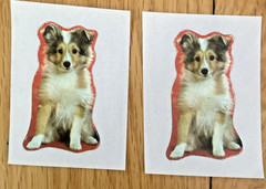 Vintage 80s Sticker Lot: Restored Adorable Puppy Kitten Stickers (READ)