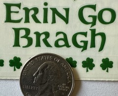 I’M IRISH Mylar Stickers(14pc) Frances Meyer…St.Patrick’s Day…Clover…Card Making