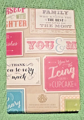 Anna Griffin Well Said 119 Vellum Quote Stickers For Cards And Scrapbooking