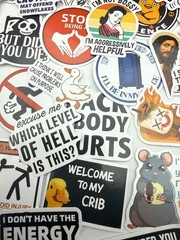 NEW Meme Stickers 15 Pcs Funny Humor Laptop Water Bottle Savage Snarky Sassy