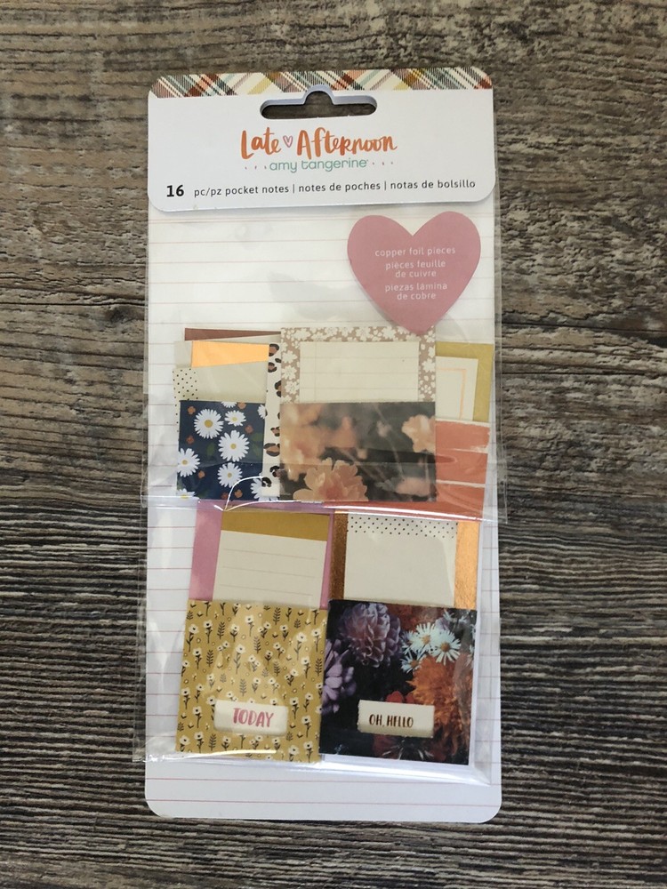 American Crafts! Amy Tangerine. Late Afternoon 16 Pocket Notes! New!