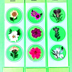 Pressed Petals Real Flowers Sticker Pack Lot Of 7