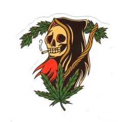 Stickers for Water Bottles, 420 Stickers for Teens Adults, Vinyl Waterproof