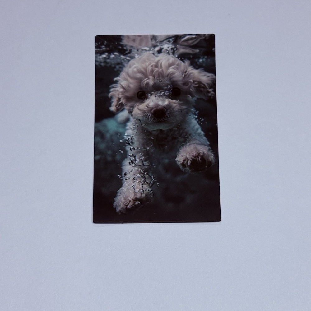 Cute Puppy Swim Underwater Sticker Poodle Dog Vinyl Wall Art Decal Decor Tc9