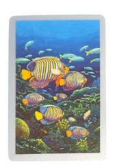 Vintage Tropical Fish Colorful US Playing Cards Junk Journal Scrapbook Collage