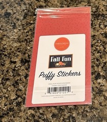 Carta Bella FALL FUN Puffy Stickers Truck Pumpkin Church House Rake Flowers