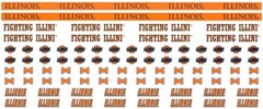 University of Illinois NCAA Scrapbook Stickers – Duck Tape U-CHOOSE