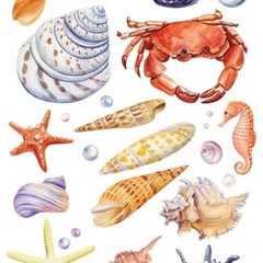 Violette Stickers – 2 Beach Seashells & Crabs Watercolor Sticker Sheets – Crafts