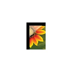 Archival Polypropylene Mounting Corners, Acid-Free Self-Adhesive, 0.5 Inch, Disp