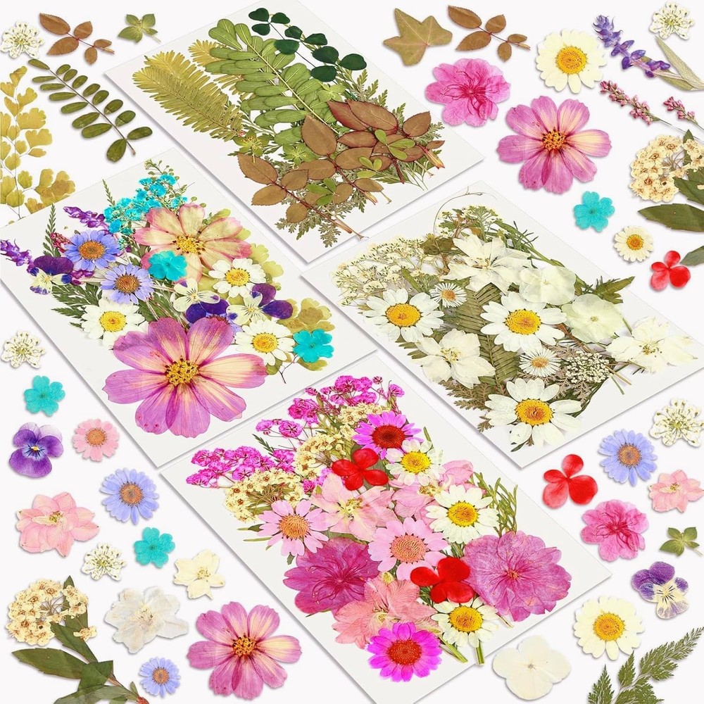 Blossom Pressed Dried Resin Flowers 100Pcs Natural Real Dried Flower Craft